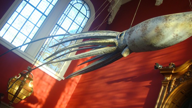 Oceanographic Museum Monaco